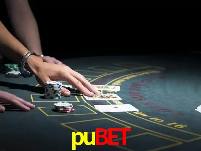 Login Seguro pubet