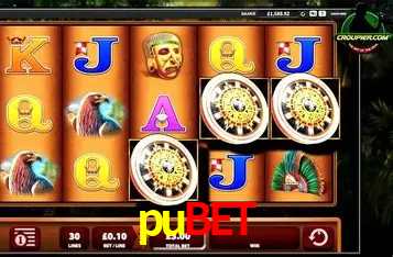 Explorando a Categoria de Eventos em Apostas na pubet